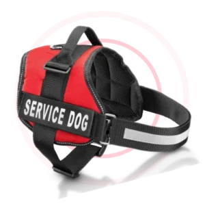 Service Dog Identification Vest