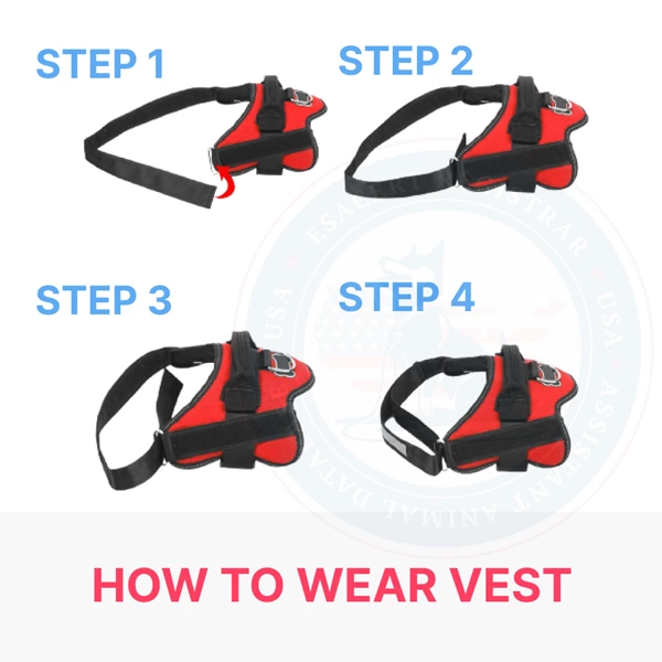 How to Wear Vest Service Dog Vest