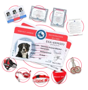 ADA Service Dog Full Kit Bundle