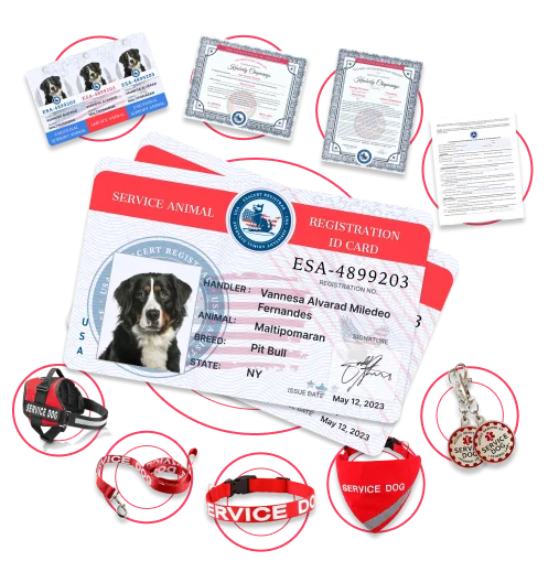 ADA Service Dog Full Kit Bundle