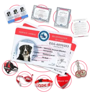 ADA Service Dog Full Kit Bundle