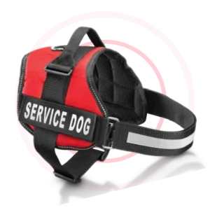 Service Dog Identification Vest