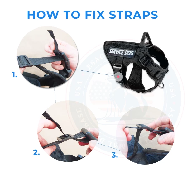 Tactical Harness Strap Fix