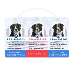 Assistant Animal Mini Tags ID