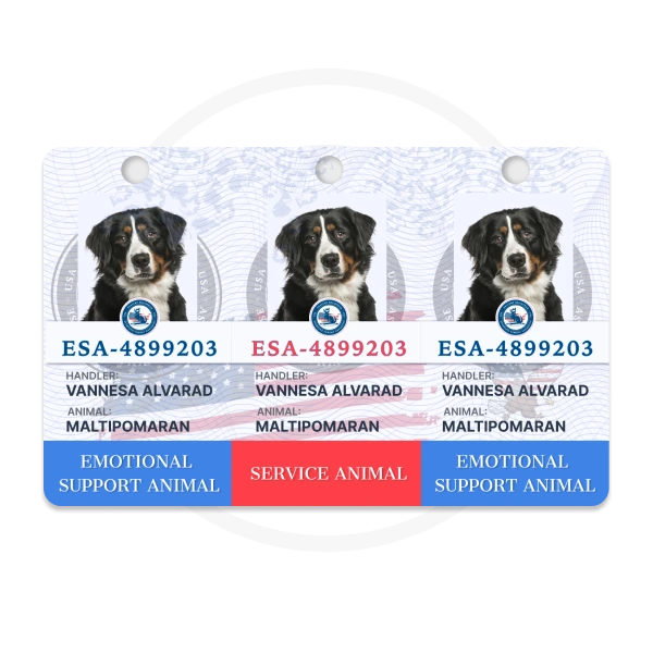 Assistant Animal Mini Tags ID