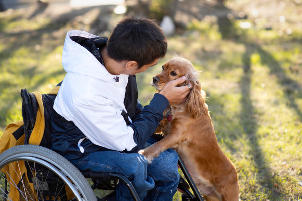 What Disabilities Qualify for a Service Dog