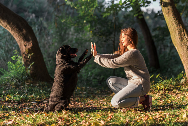 esa dog training