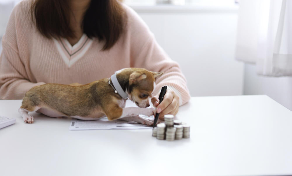 Landlord Charge A Pet Deposit For An Emotional Support Animal