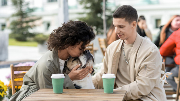 service animal public etiquette